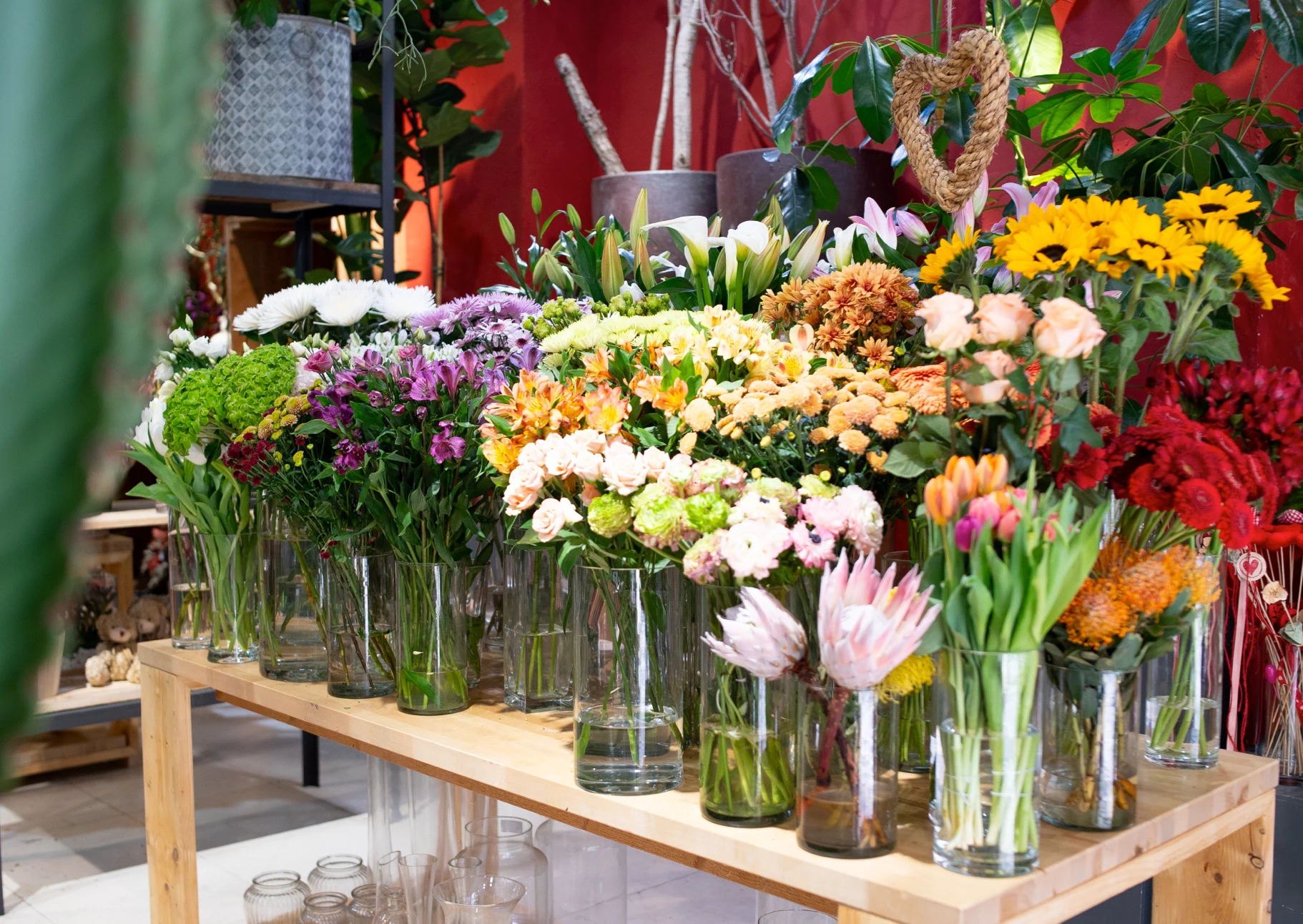 Flors Lloveras interior botiga